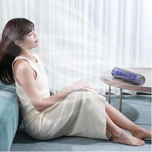 Brizac Portable Air Conditioner With Three-Speed Fan Control