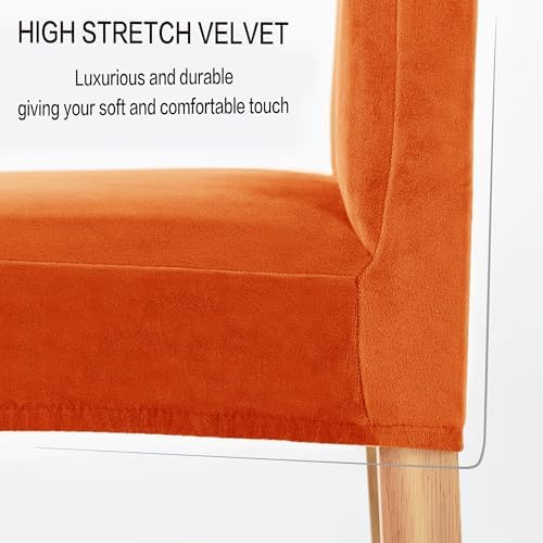Deisy Dee Velvet Stretch Dining Chair Covers - 2 Pack Orange