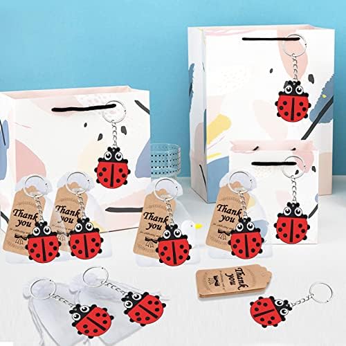 40 Pack Ladybug Keyring Party Favor for Ladybug Lovers
