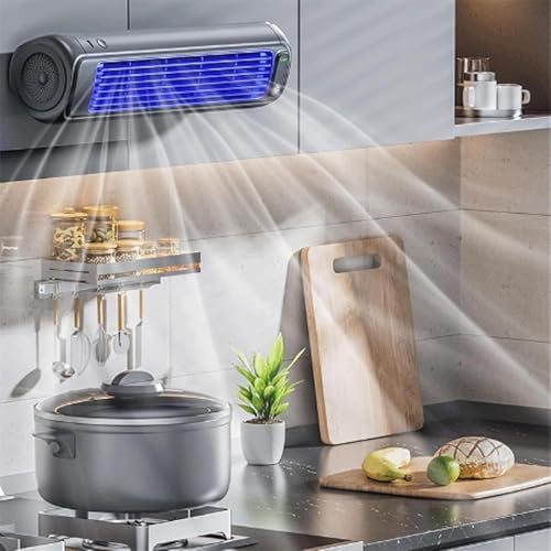 Brizac Portable Air Conditioner With Three-Speed Fan Control
